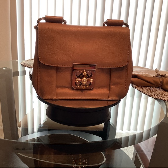 Chloe Tan Gold Crossbody Bag with Luxurious Accents - Picture 2 of 16